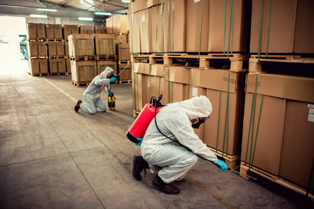 Flea Control Services in Black Hammock, FL