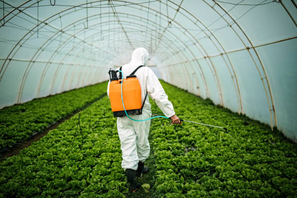 Best Best Pest Control Companies  in Black Hammock, FL