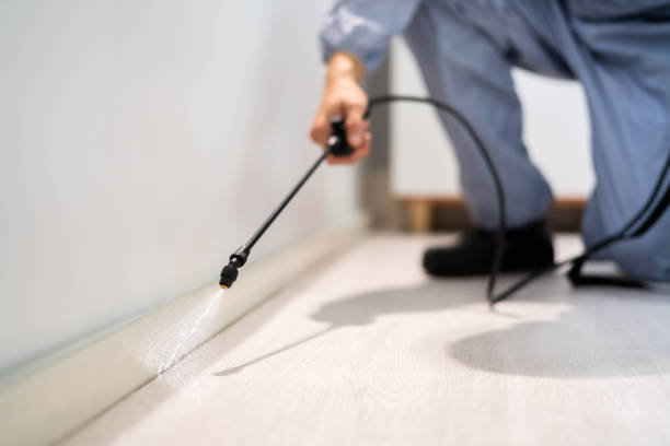 Professional Pest Control in Black Hammock, FL