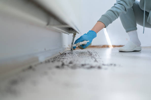 Best Pest Removal Services  in Black Hammock, FL